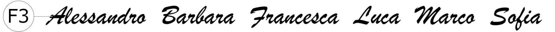 BRUSH SCRIPT MT font per incisione laser su coltelli