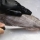 Come scegliere il coltello perfetto per sfilettare il pesce